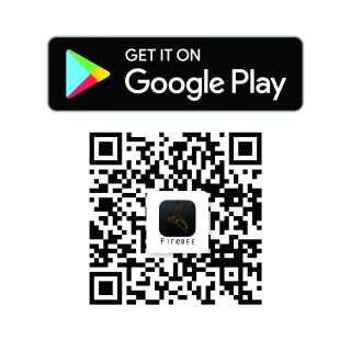 麗光科技股份有限公司